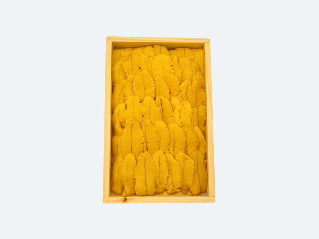 Uni